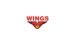 pt wings group