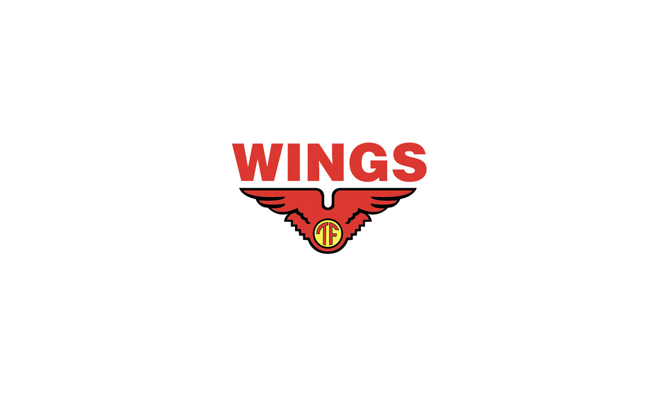 pt wings group